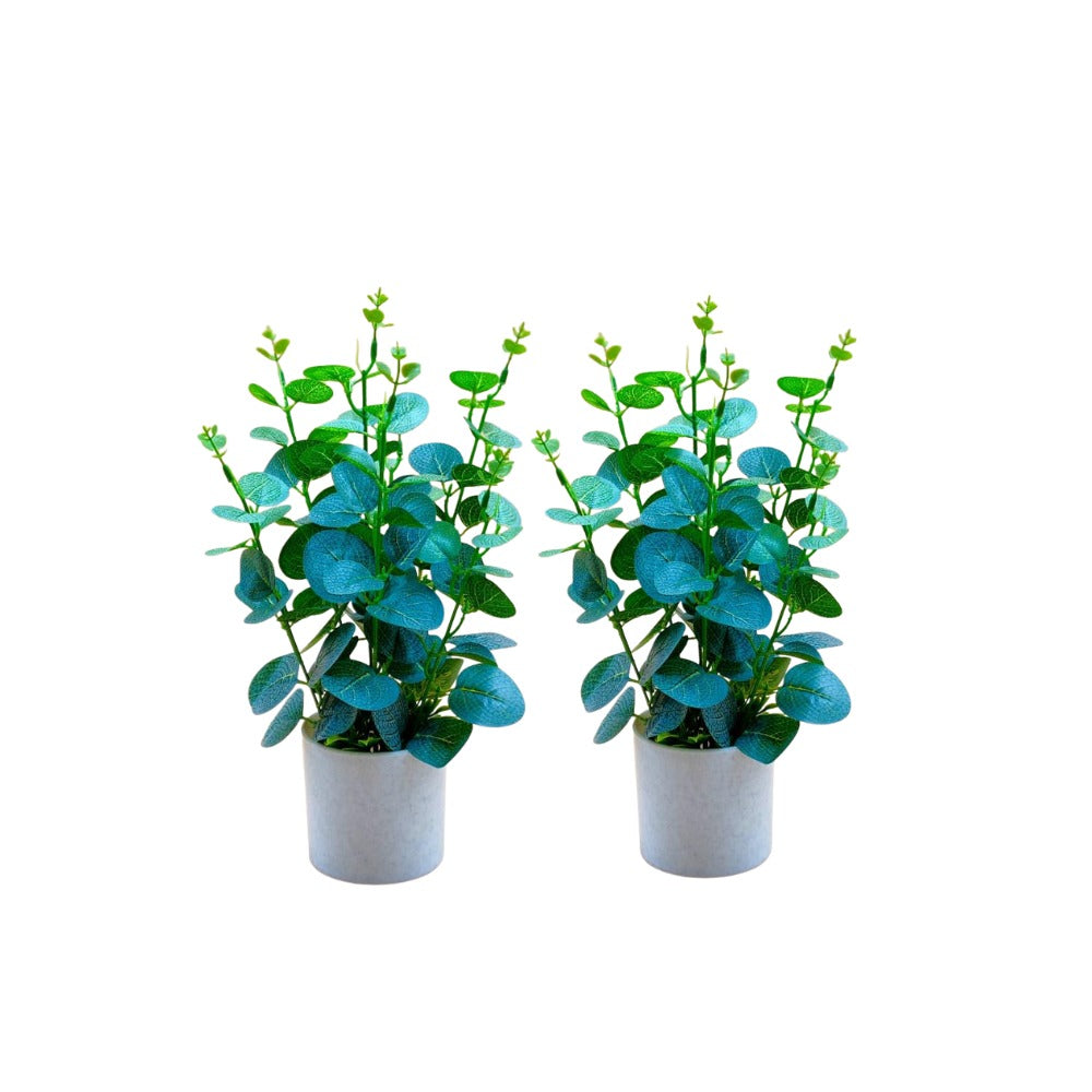 ARTIFICIAL EUCALYPTUS MINI — COMBO OF 2
