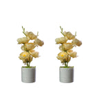 ARTIFICIAL PEONY — COMBO OF 2
