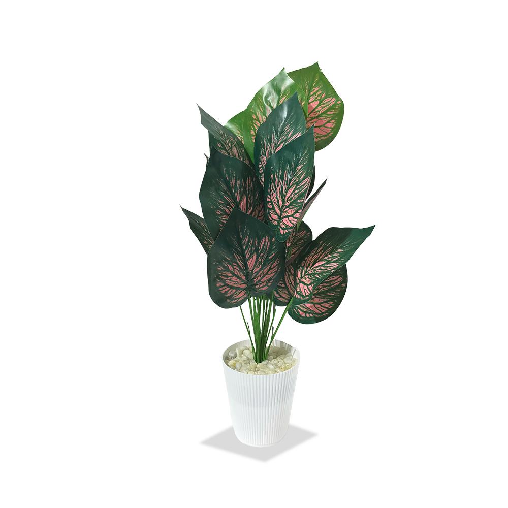 Artificial Dumb Cane Plant (P38)
