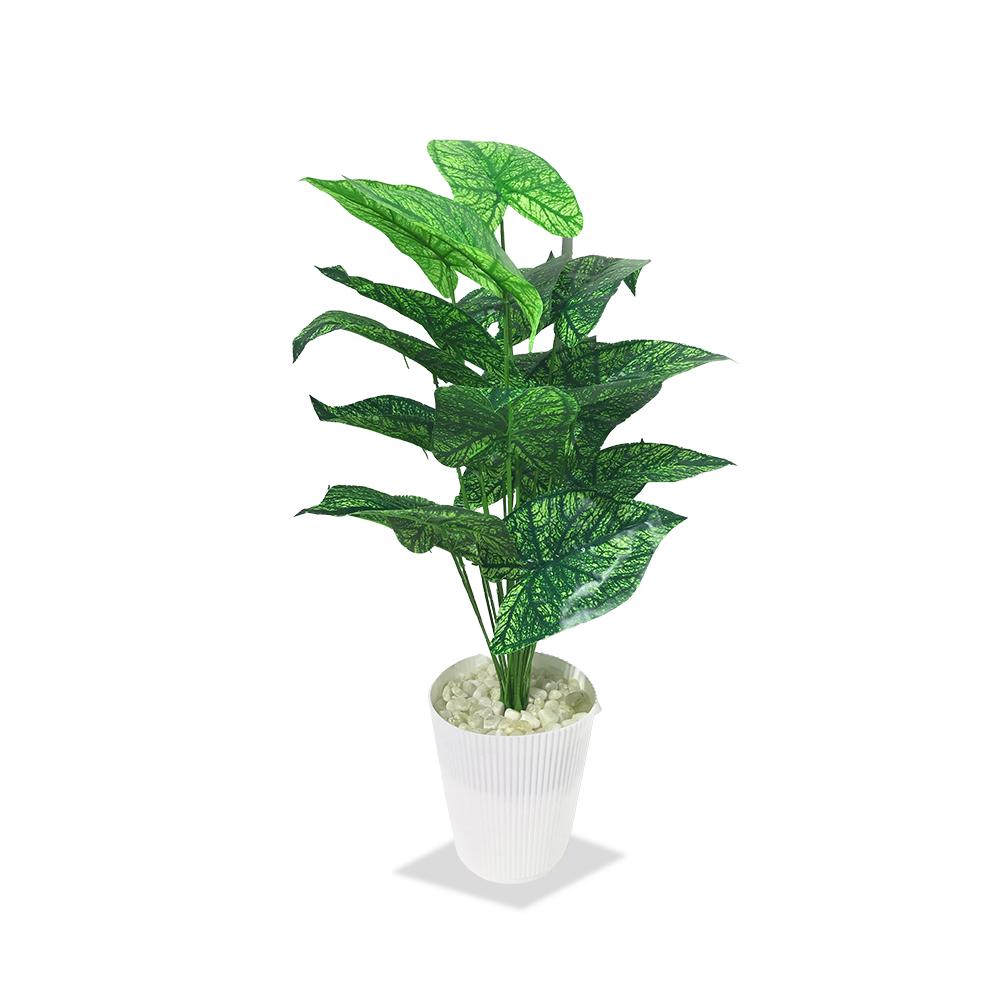 Artificial Dumb Cane Plant (P38)