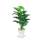 Artificial Dumb Cane Plant (P38)