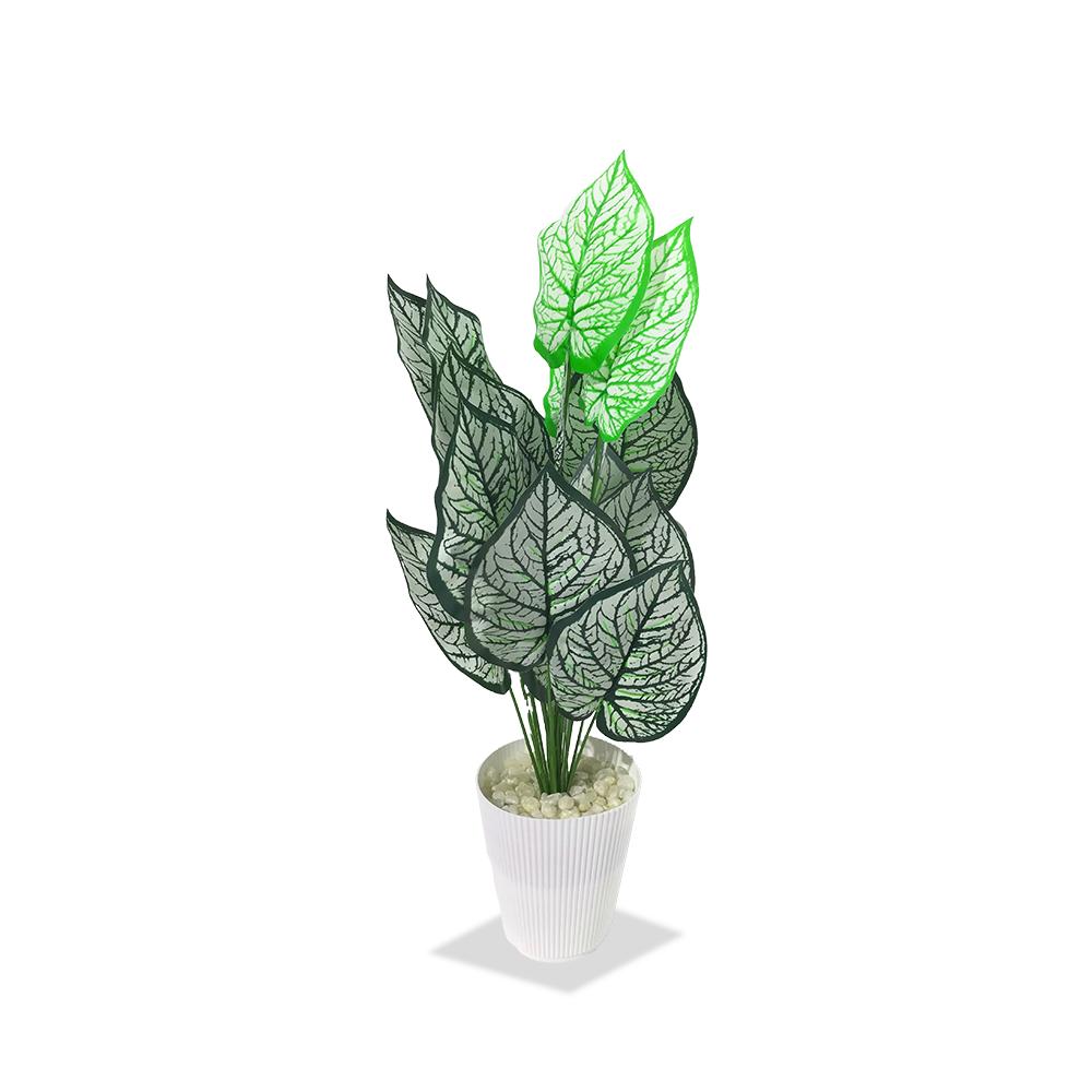 Artificial Dumb Cane Plant (P38)