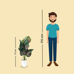 Artificial Dumb Cane Plant (P38)