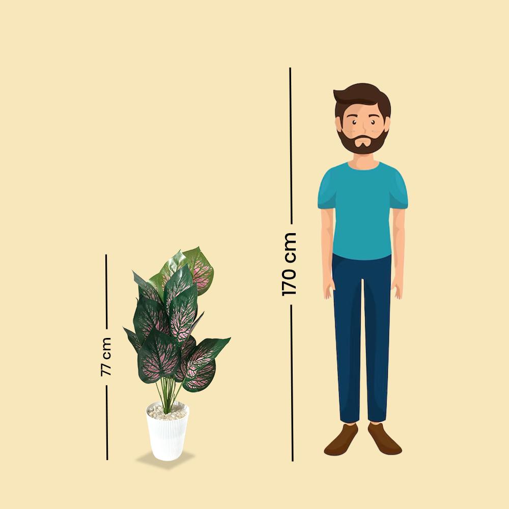 Artificial Dumb Cane Plant (P38)