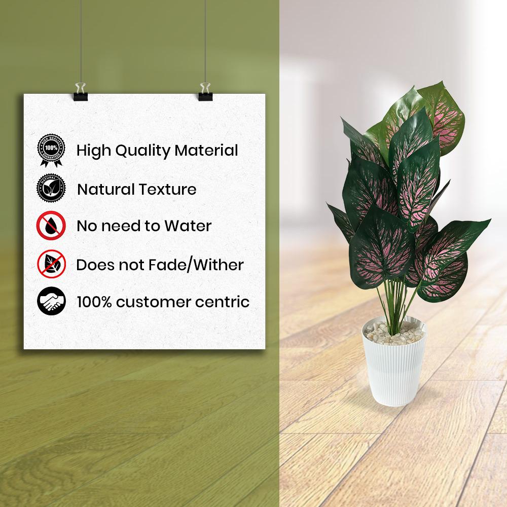 Artificial Dumb Cane Plant (P38)