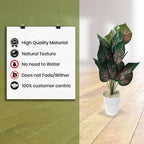 Artificial Dumb Cane Plant (P38)