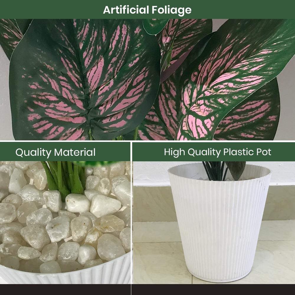 Artificial Dumb Cane Plant (P38)