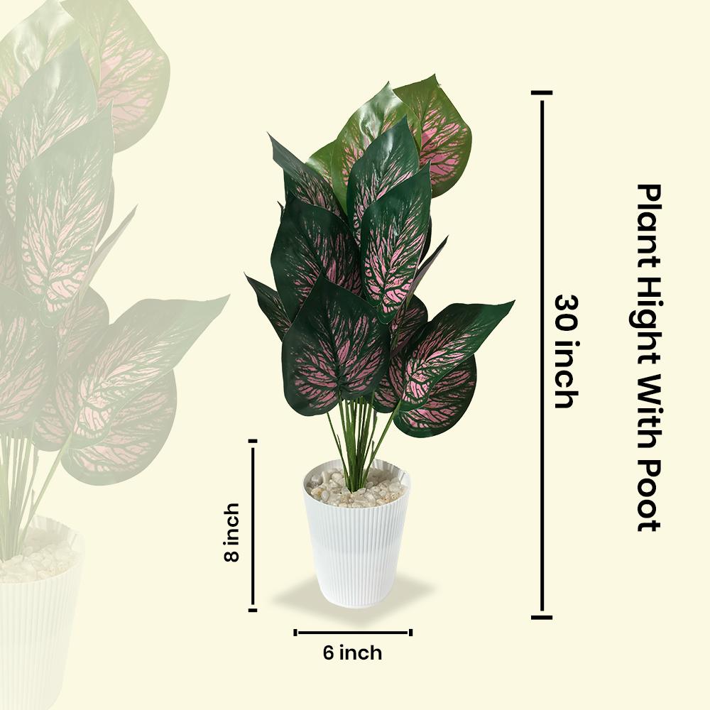 Artificial Dumb Cane Plant (P38)