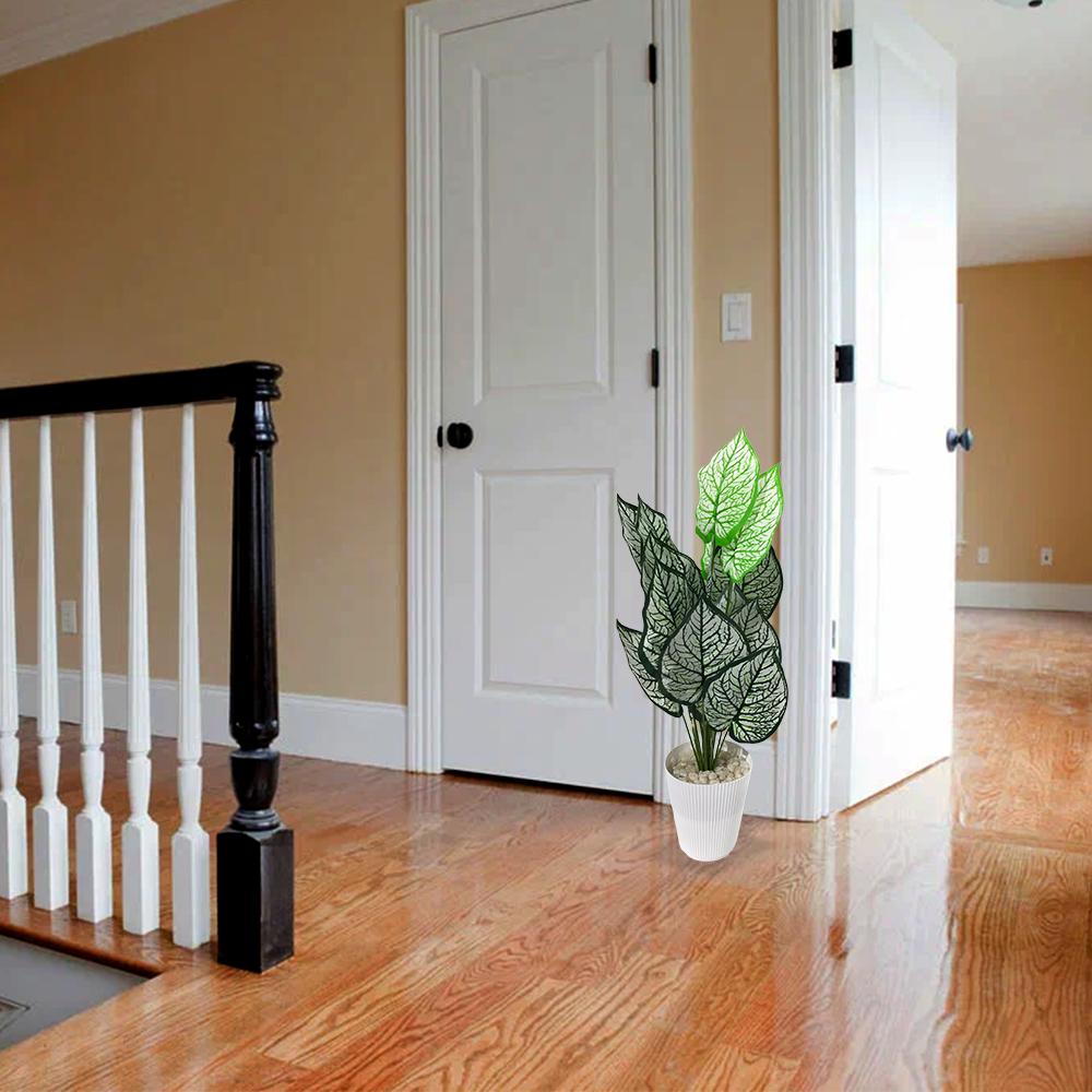 Artificial Dumb Cane Plant (P38)