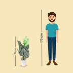 Artificial Dumb Cane Plant (P38)