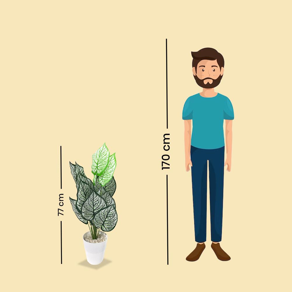 Artificial Dumb Cane Plant (P38)