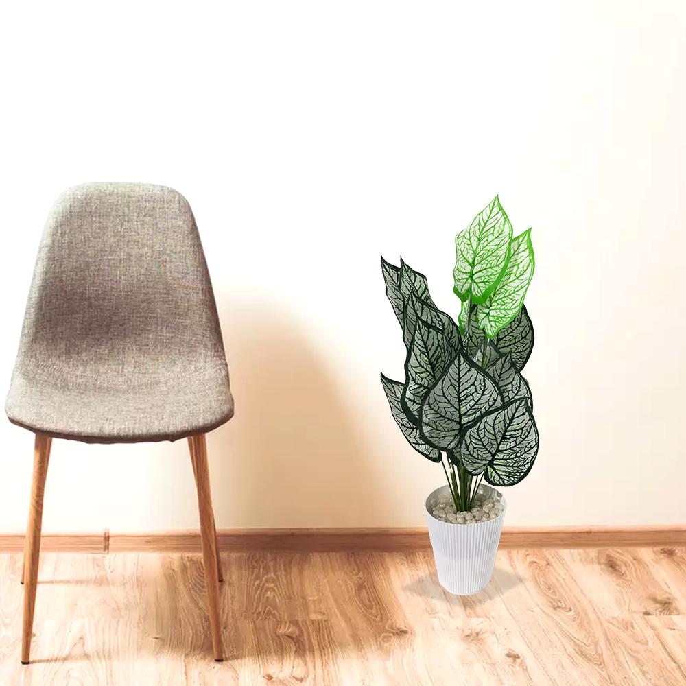 Artificial Dumb Cane Plant (P38)