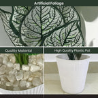 Artificial Dumb Cane Plant (P38)