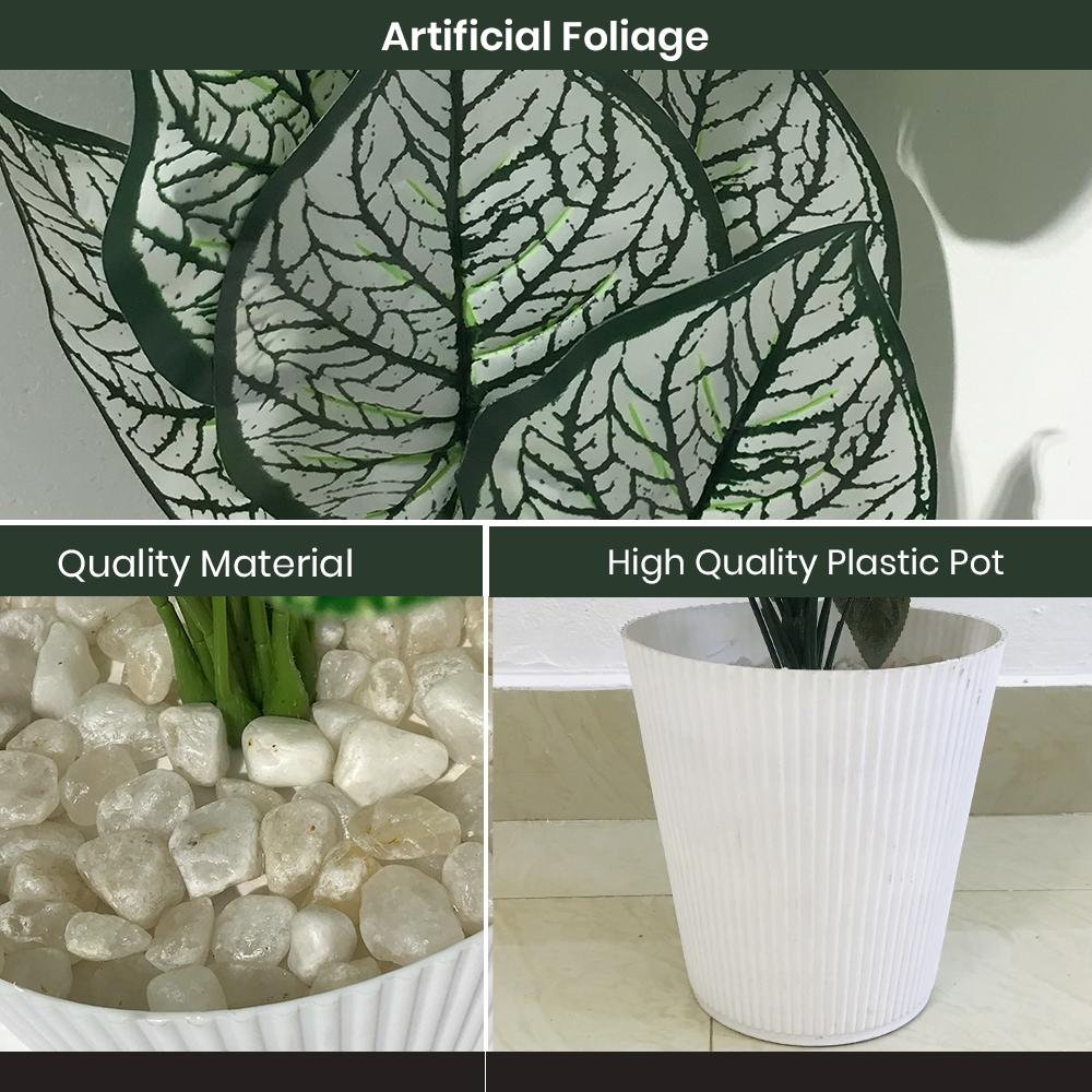 Artificial Dumb Cane Plant (P38)