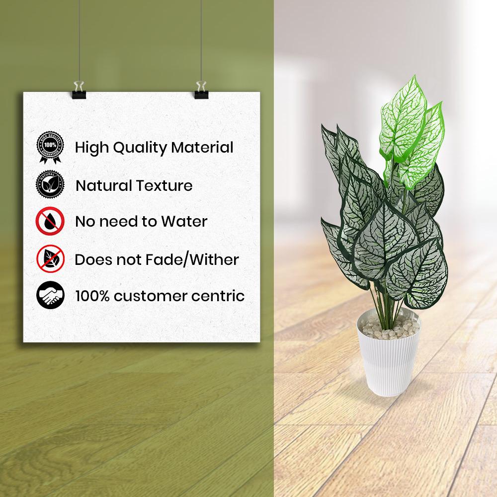Artificial Dumb Cane Plant (P38)