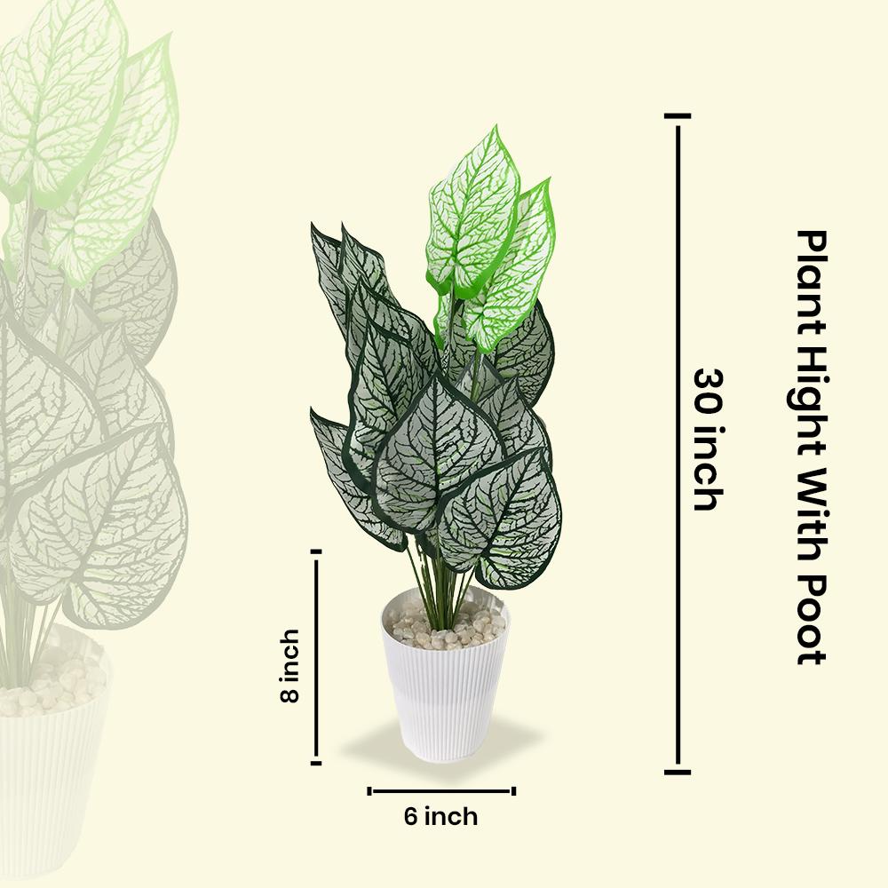 Artificial Dumb Cane Plant (P38)