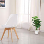 Artificial Dumb Cane Plant (P38)