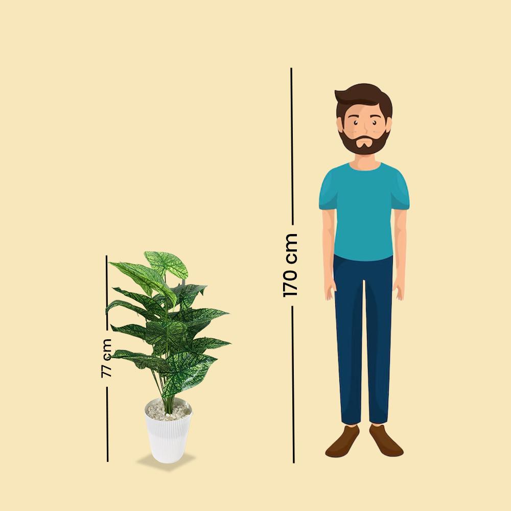 Artificial Dumb Cane Plant (P38)
