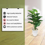 Artificial Dumb Cane Plant (P38)