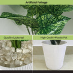 Artificial Dumb Cane Plant (P38)