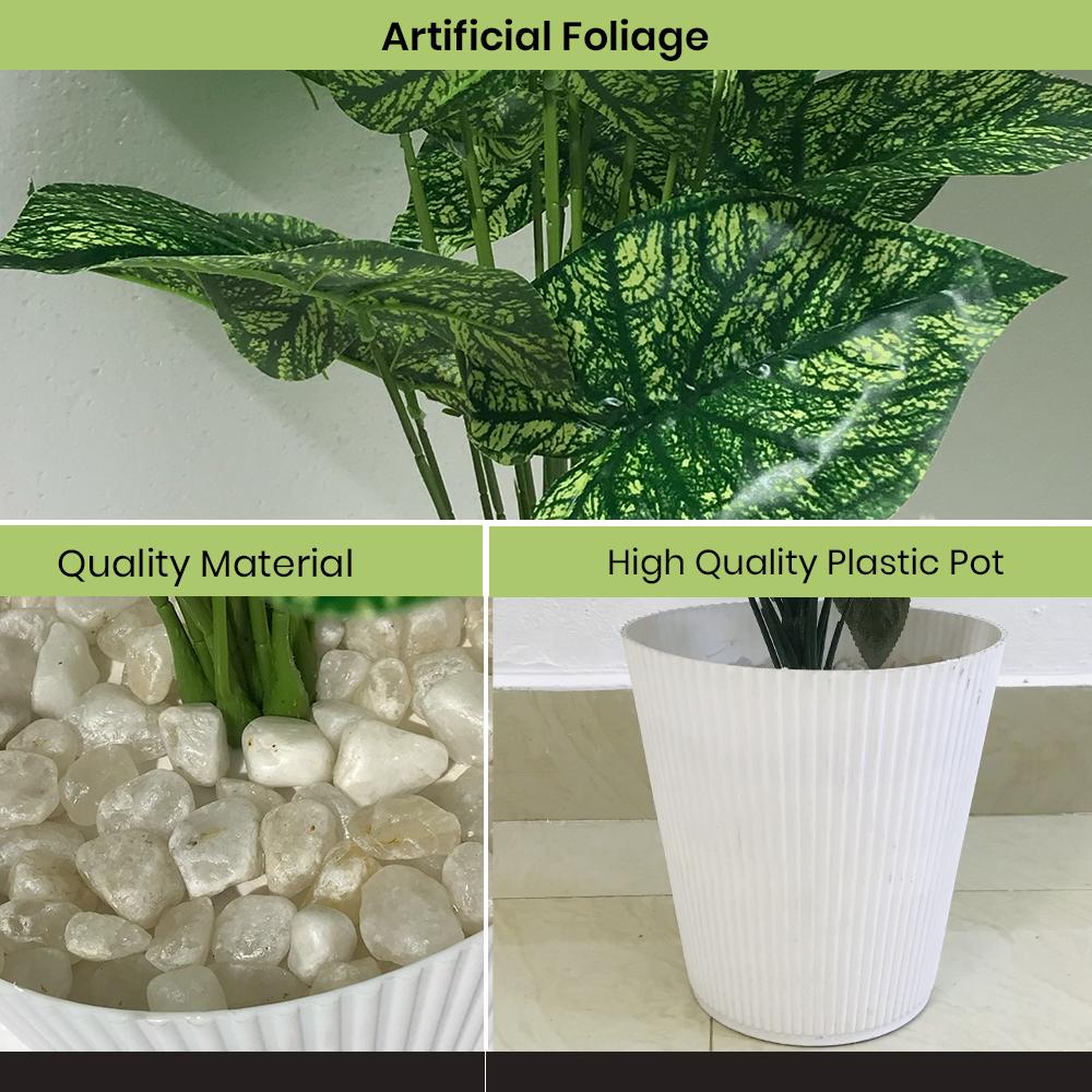 Artificial Dumb Cane Plant (P38)