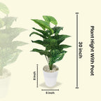 Artificial Dumb Cane Plant (P38)