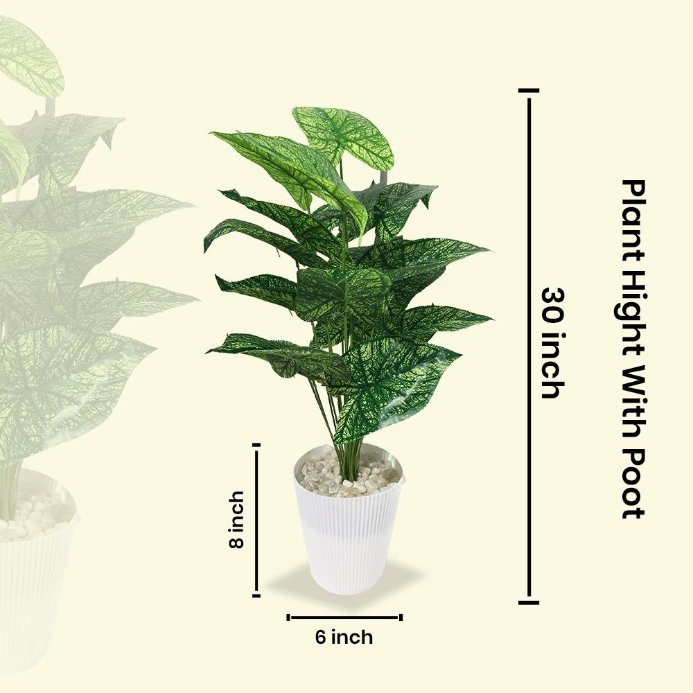 Artificial Dumb Cane Plant (P38)