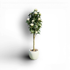 Faux Hybrid Rose Plant(P33)