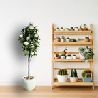 Faux Hybrid Rose Plant(P33)