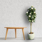 Faux Hybrid Rose Plant(P33)