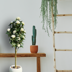 Faux Hybrid Rose Plant(P33)
